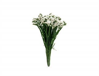 Esperando la imagen de producto