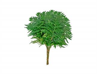 Esperando la imagen de producto