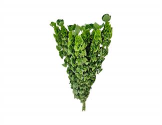 Esperando la imagen de producto