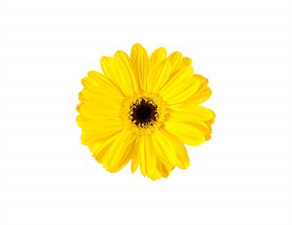 Esperando la imagen de producto