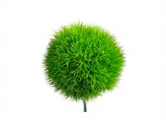 Esperando la imagen de producto