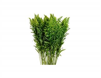 Esperando la imagen de producto