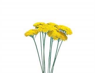 Esperando la imagen de producto