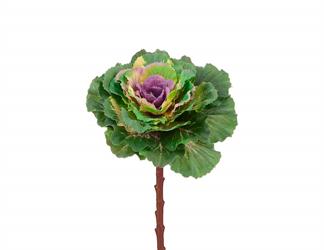 Esperando la imagen de producto