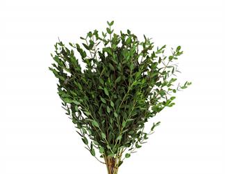 Esperando la imagen de producto